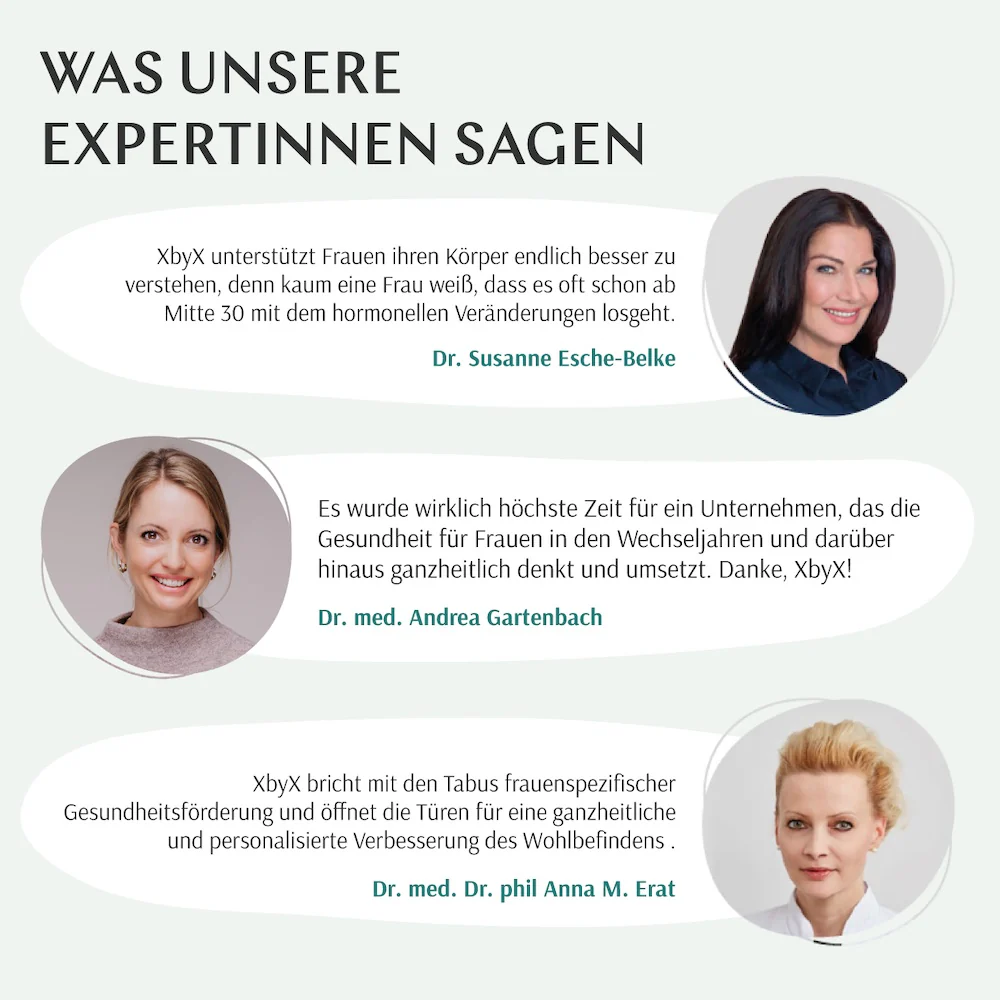 ENERGIE Test - Image 7