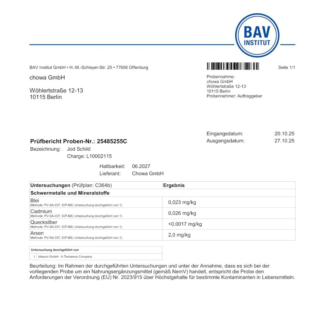 Jod Schild - Image 4